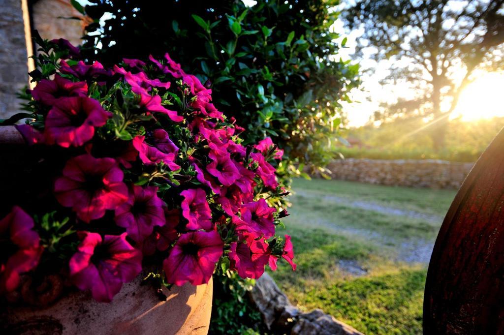Agriturismo I Monti Semproniano Chambre photo